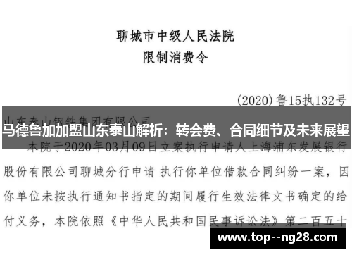 马德鲁加加盟山东泰山解析：转会费、合同细节及未来展望